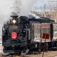 img153-240x240.jpg
