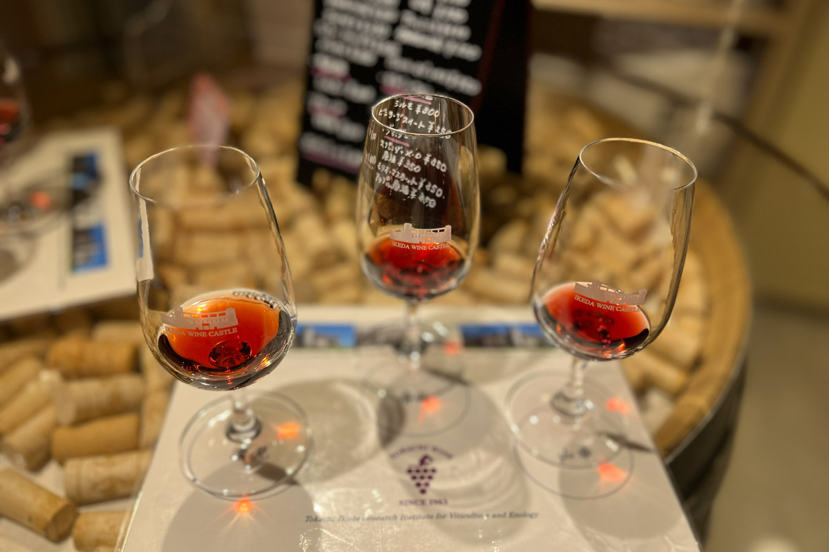 北海道十勝・池田のワイン城での飲み比べ
